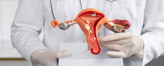 Гінекологія